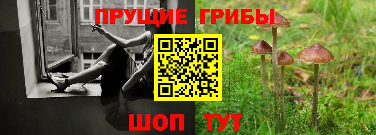 Галлюциногенные грибы Psilocybine cubensis  Вход с VPN  Псилоцибиновые грибы Psilocybe  Дзержинский 